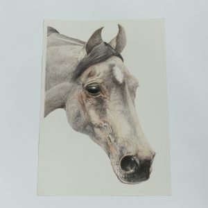 Horse II