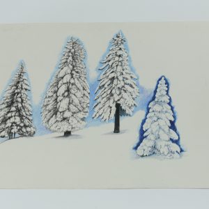 Snow & Trees
