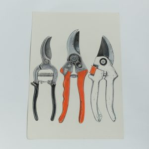 Garden Shears