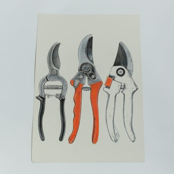 Garden Shears